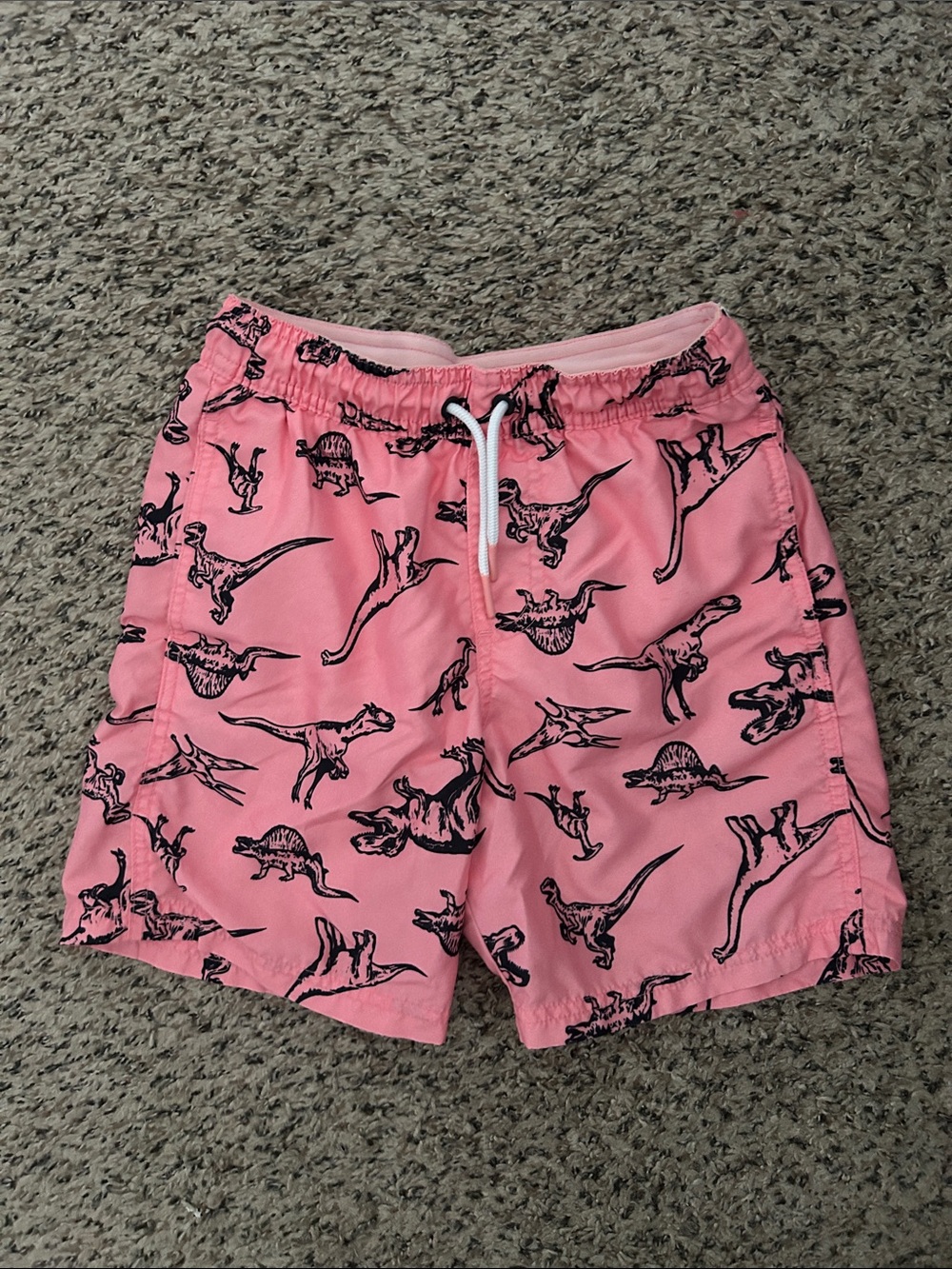 Cat & Jack Dinosaur swim Trunks boys size 8